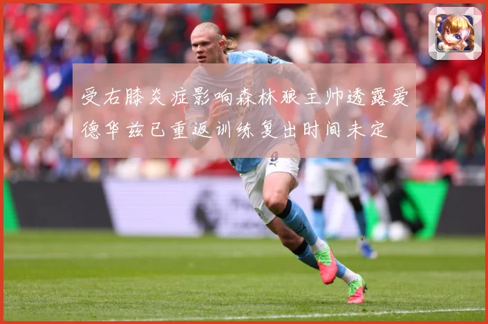 受右膝炎症影响森林狼主帅透露爱德华兹已重返训练复出时间未定