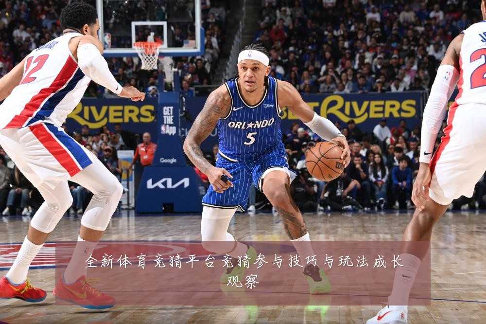 全新体育竞猜平台竞猜参与技巧与玩法成长观察